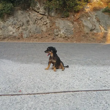 Oba Beach מלון אולודניץ