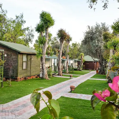 Oba Beach אולודניץ