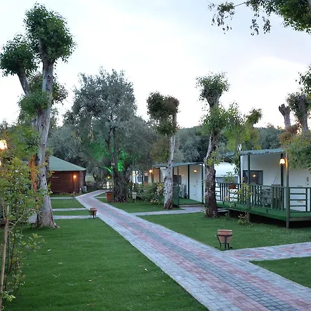 מלון Oba Beach *