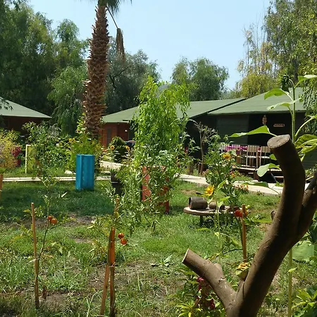 Hotel Oba Beach Ölüdeniz