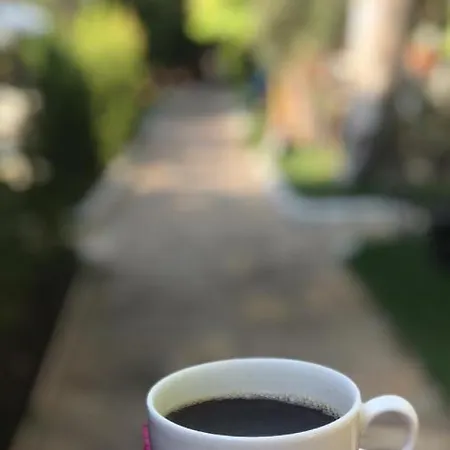 Oba * Oludeniz