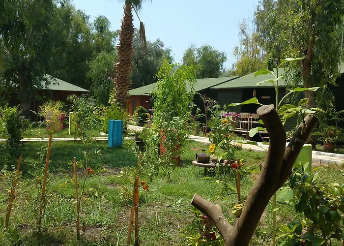 Hotel Oba Beach Ölüdeniz