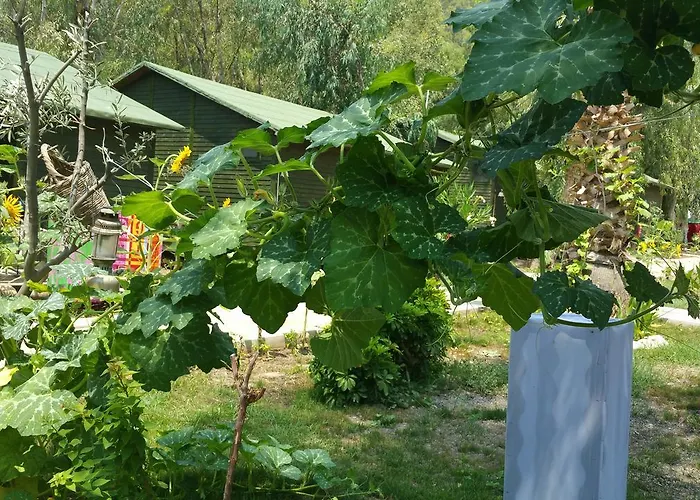 ホテル Oba Beach *