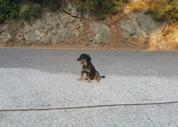 Oba Beach ホテル オルデニズ